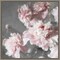 Pink Peonies on Gray II by Shawna Sullivan 16-in. W x 16-in. H. Canvas Wall Art Print Framed in Grey